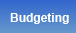 Budgeting Advice