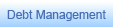 Debt Management | Debt MAnagement Plan
